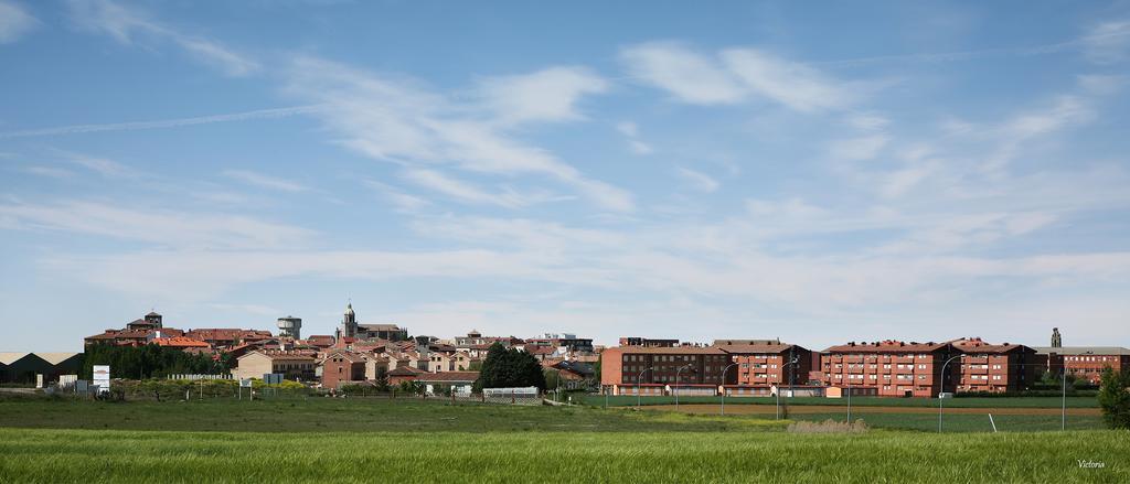 Appartamento Casa Tia Paula Carrión de los Condes Esterno foto